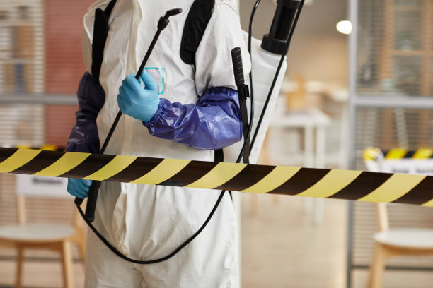 Professional Sewage Cleanup technician working in Everett, PA